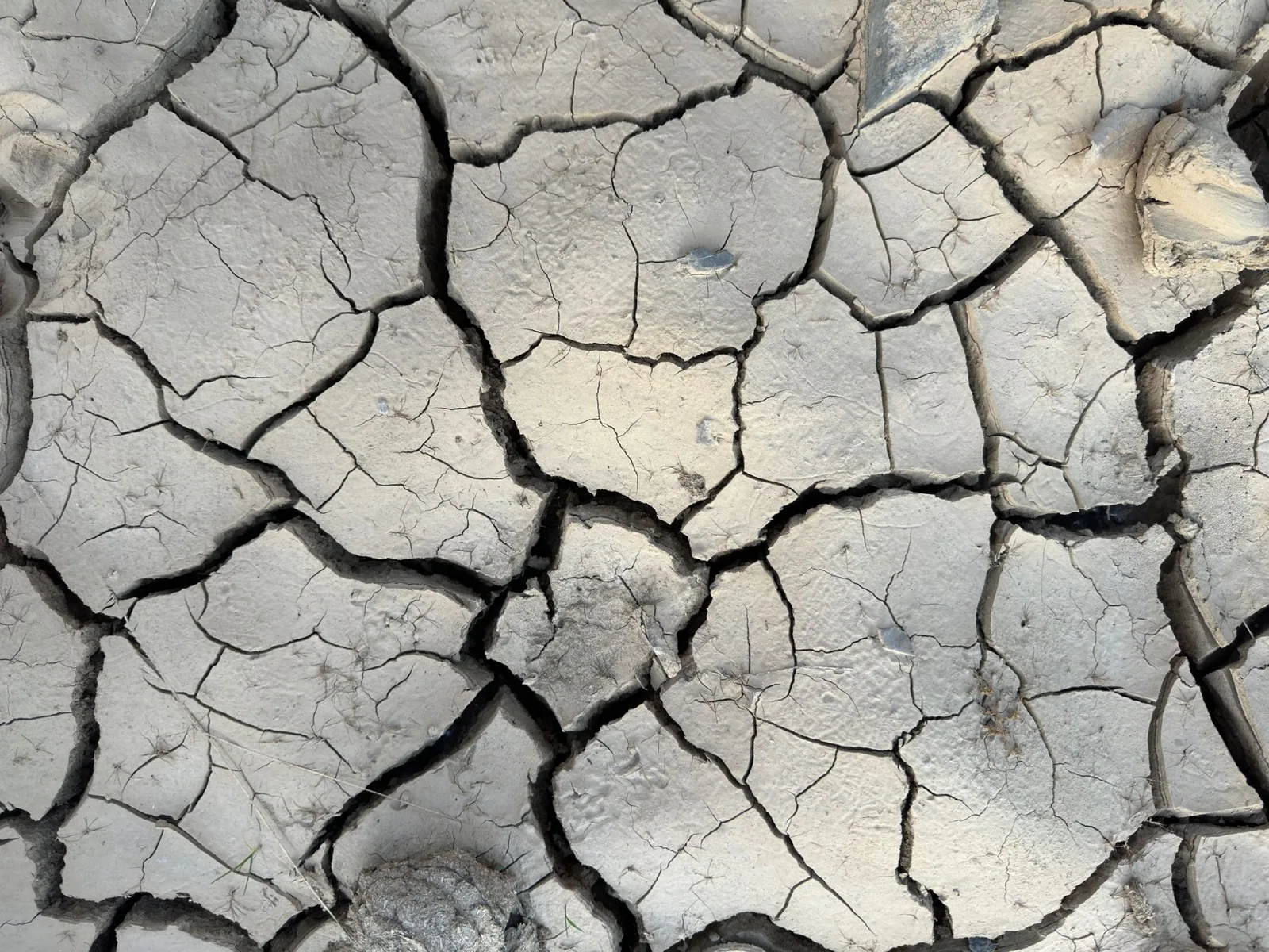Enduit sur bois : l&rsquo;appliquer sans fissures